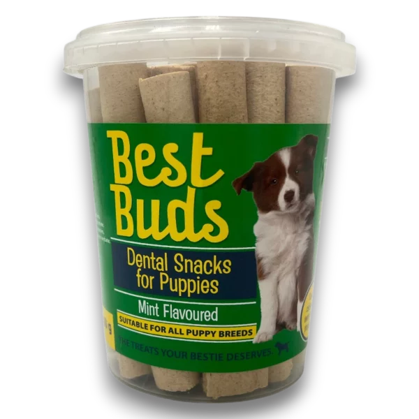 Best Buds Mint Dental Snacks For Puppies 350g - Looters Slashed Price Warehouse